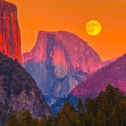 Half Dome Rugby Shirt