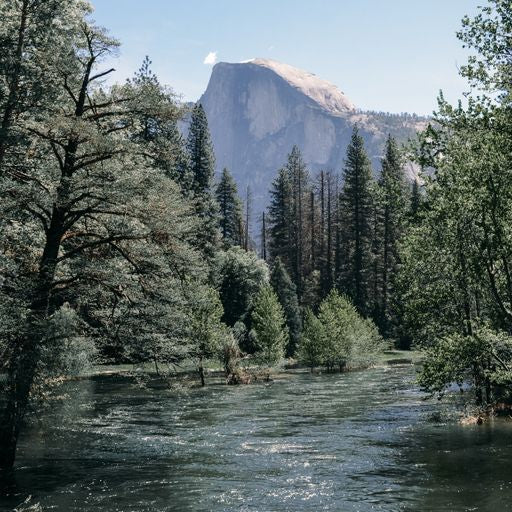 Half Dome Rugby Shirt