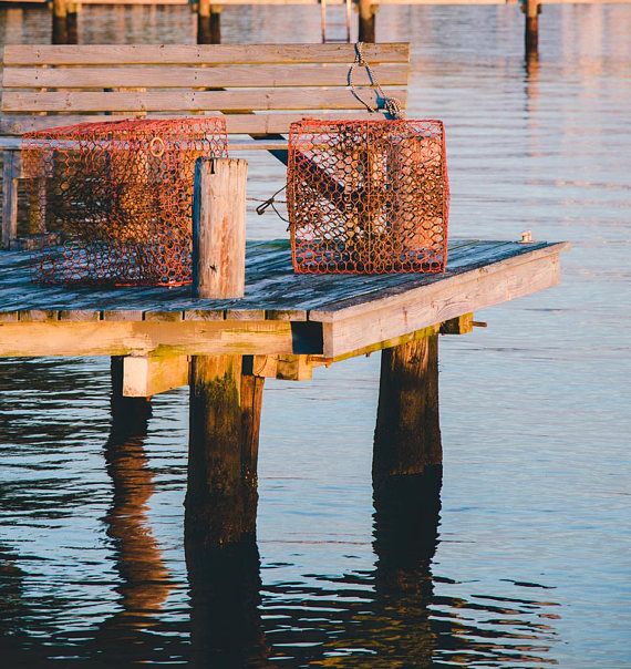 Tidewater Rugby Shirt