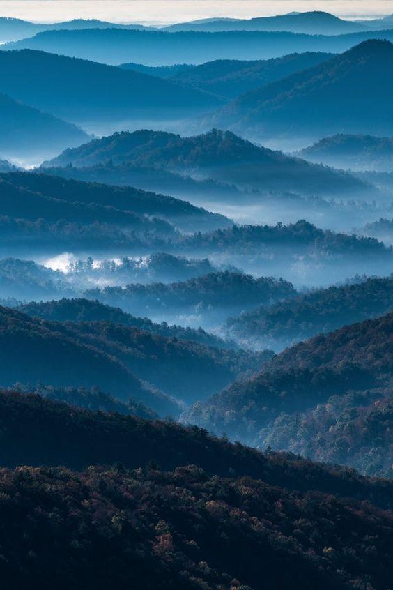 Blue Ridge Withernot