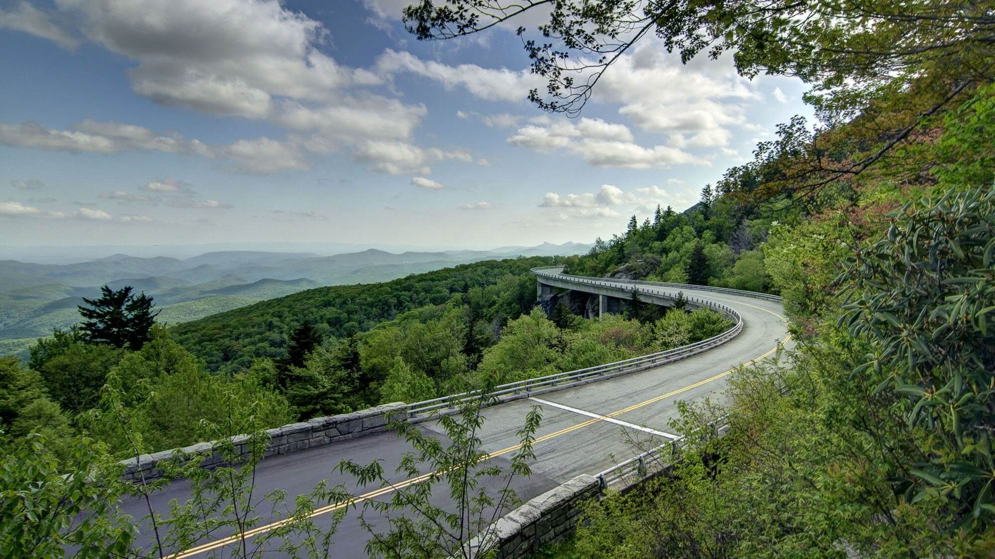 Blue Ridge Withernot