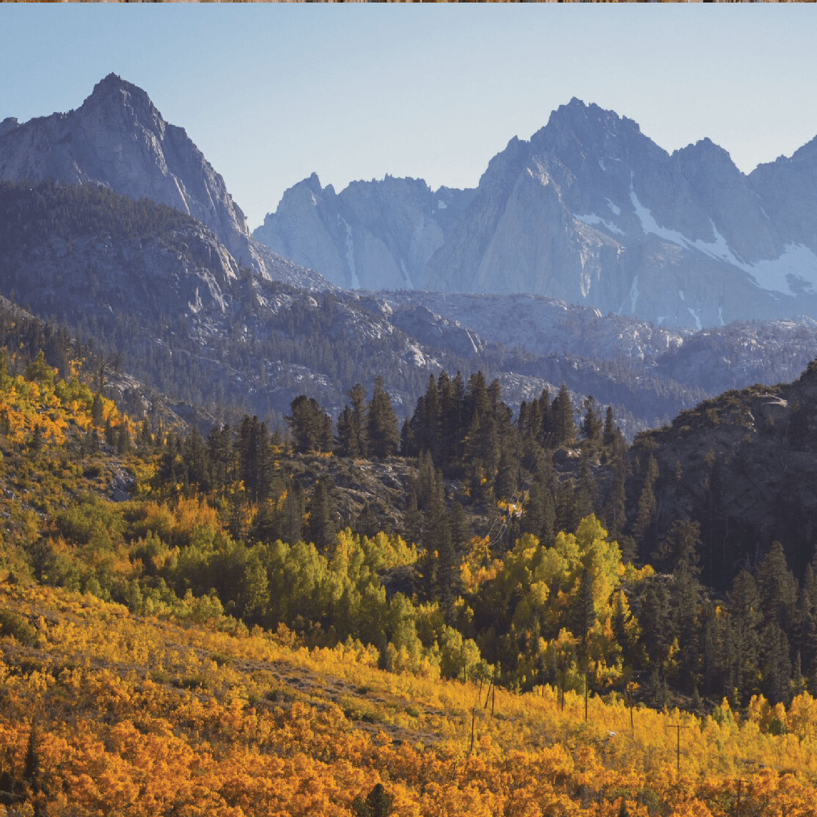 Sierra Nevada Rugby Shirt Shirts & Tops Withernot