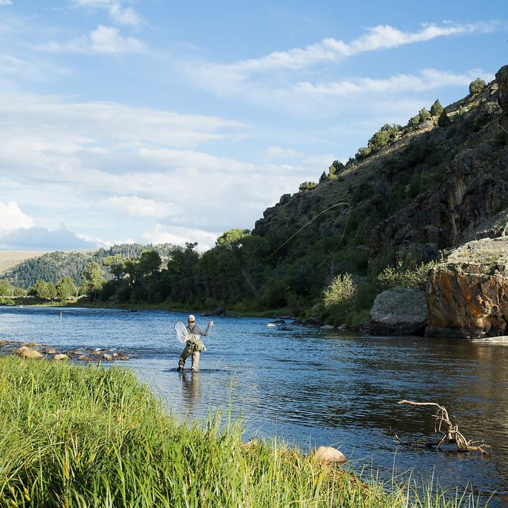 Sky Blue Rugby Shirt