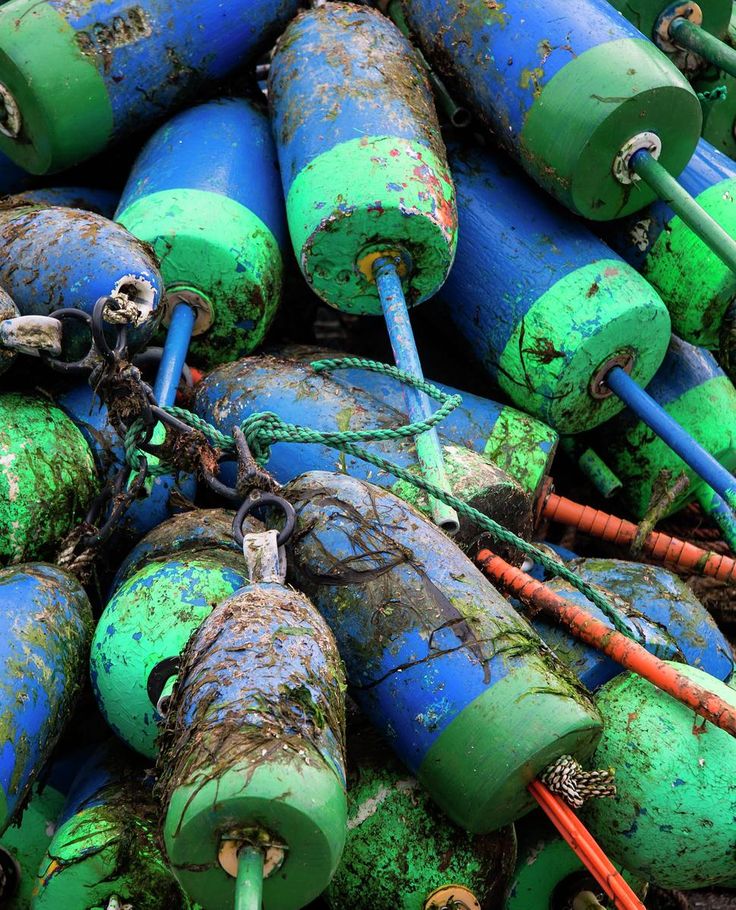 Kennebunkport Rugby Shirt