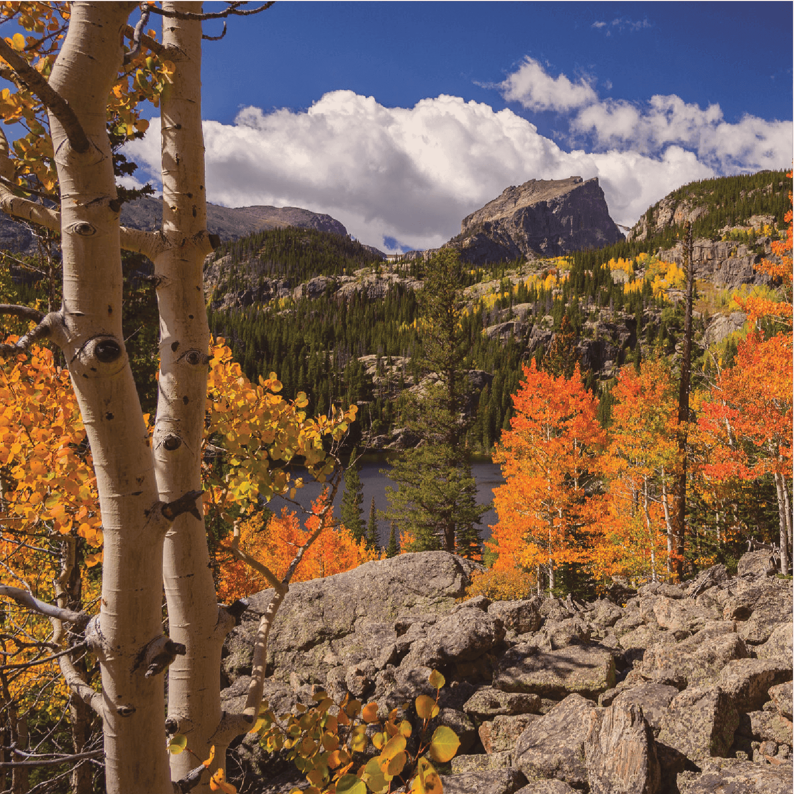 Rocky Mountain Rugby Shirt Shirts & Tops Withernot 