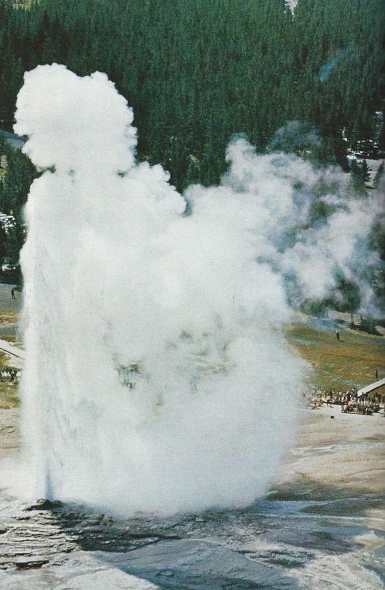 Yellowstone Withernot 